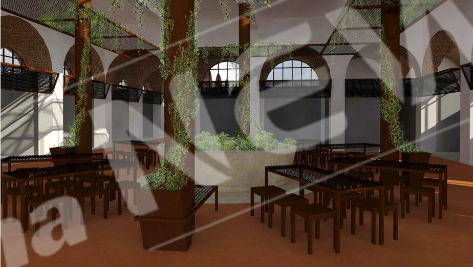 05_le_piante_protagoniste-e1699358231166