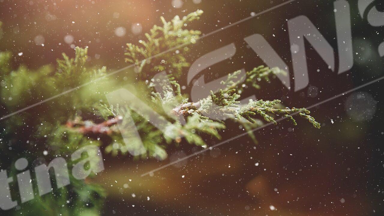 winter-1791370_1280-e1703250895378