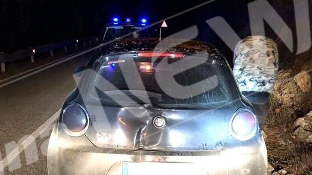 Immagine1-e1705922936719