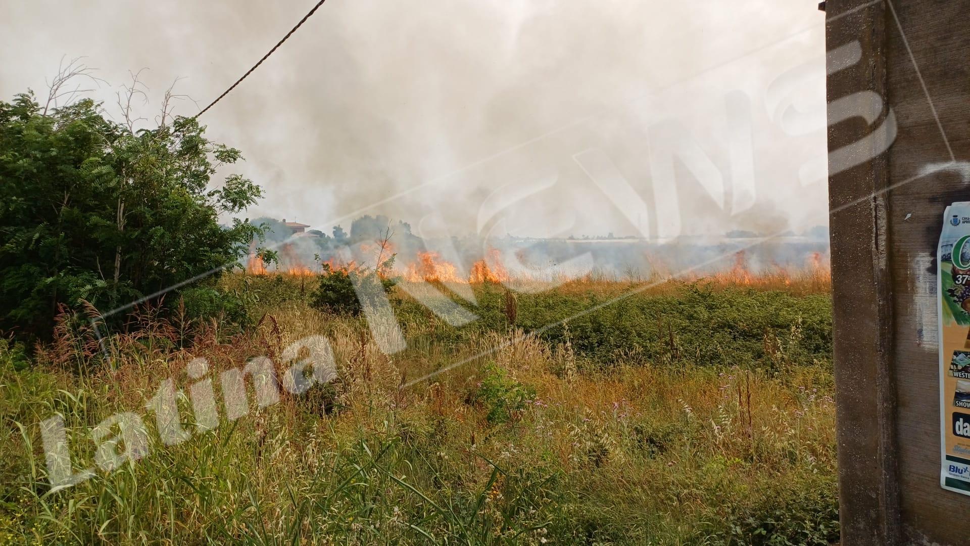 Immagine WhatsApp 2024-06-20 ore 15.54.08_5a7861d8