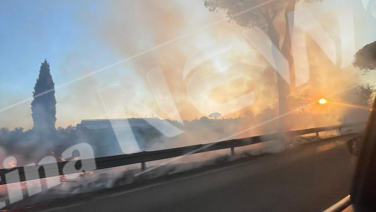 af3657fd-b986-431c-a2d4-e58037864a2f