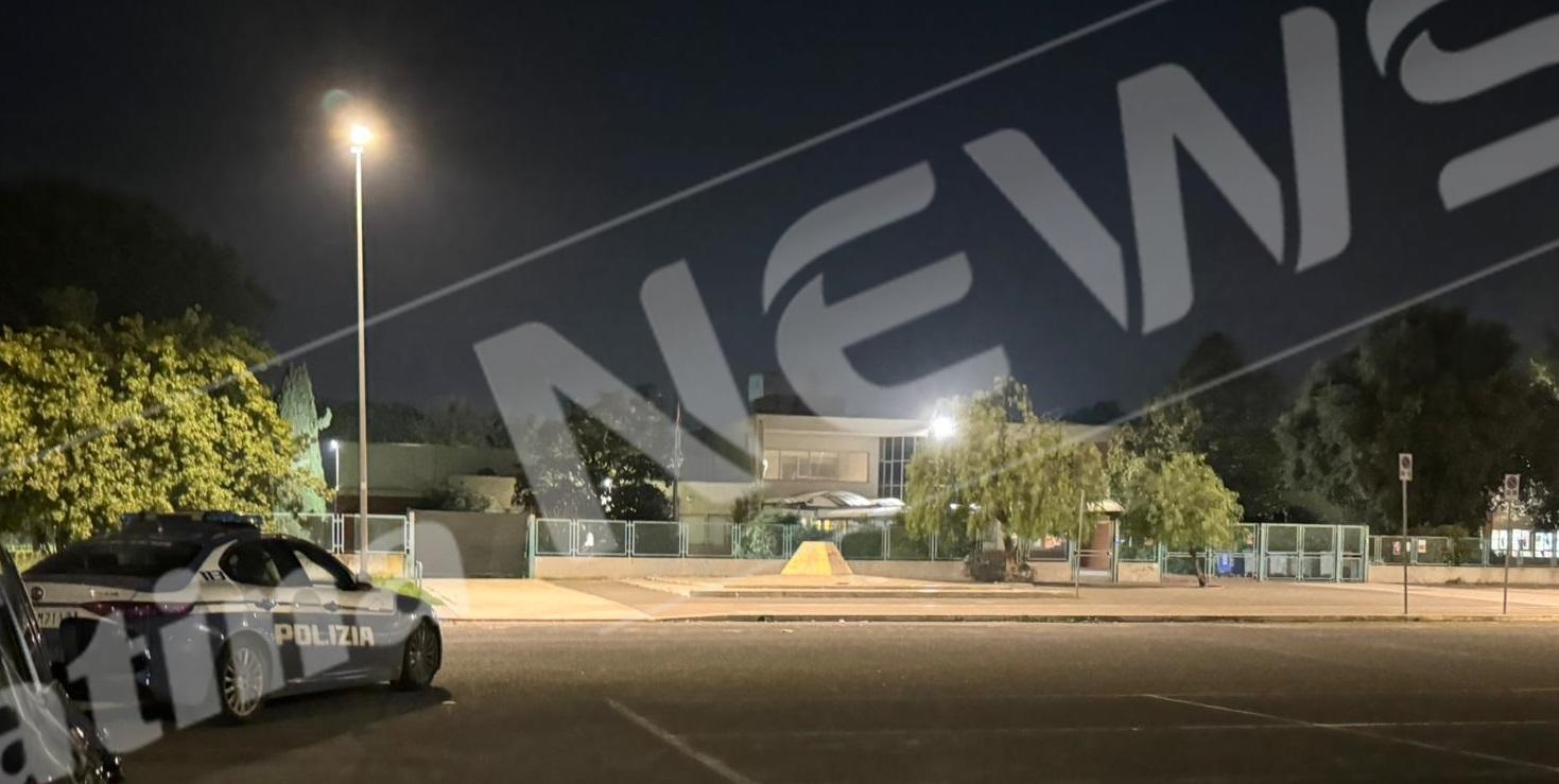 WhatsApp Image 2024-11-09 at 20.36.54