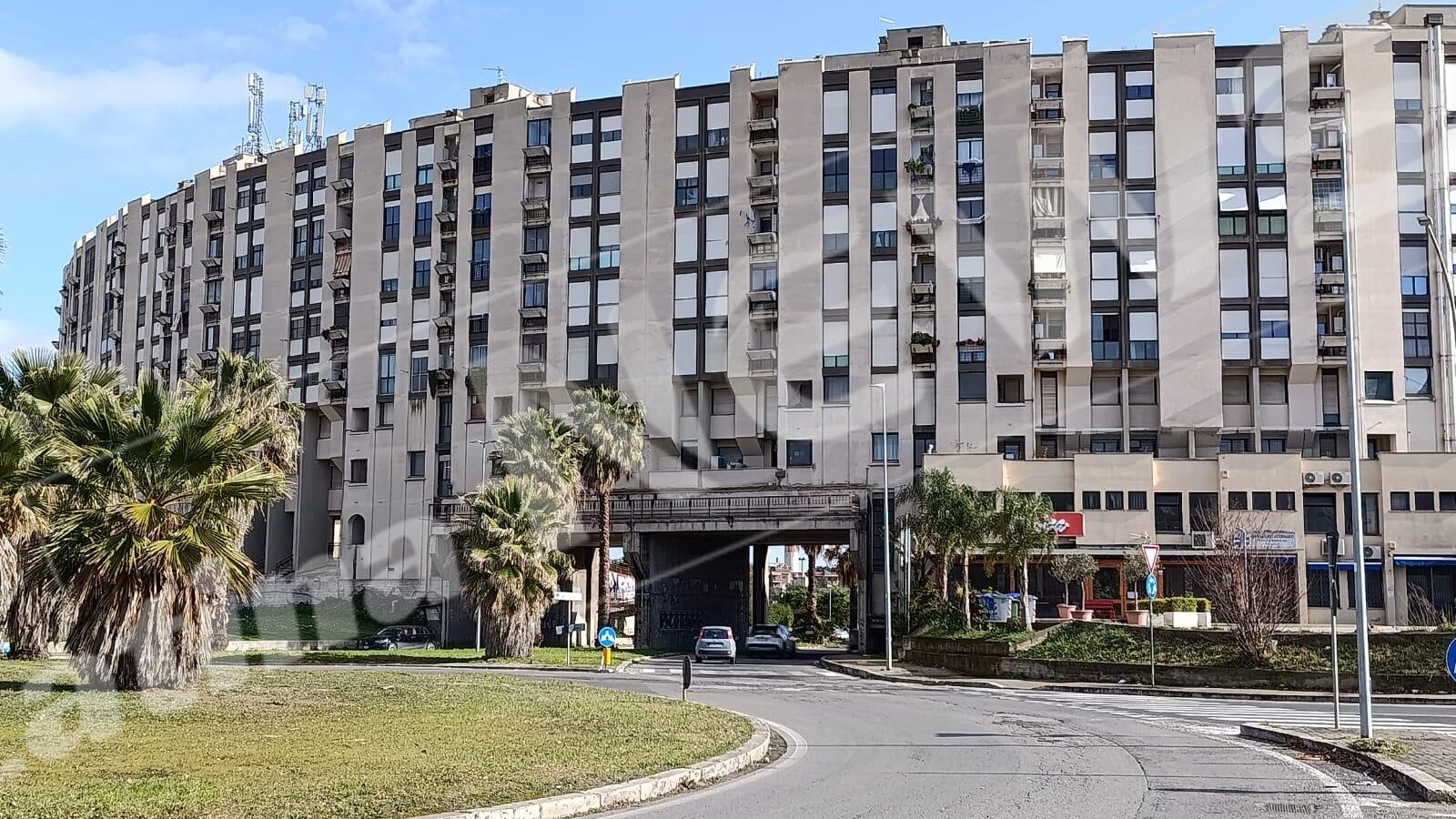 WhatsApp Image 2025-01-23 at 13.10.50 (1)