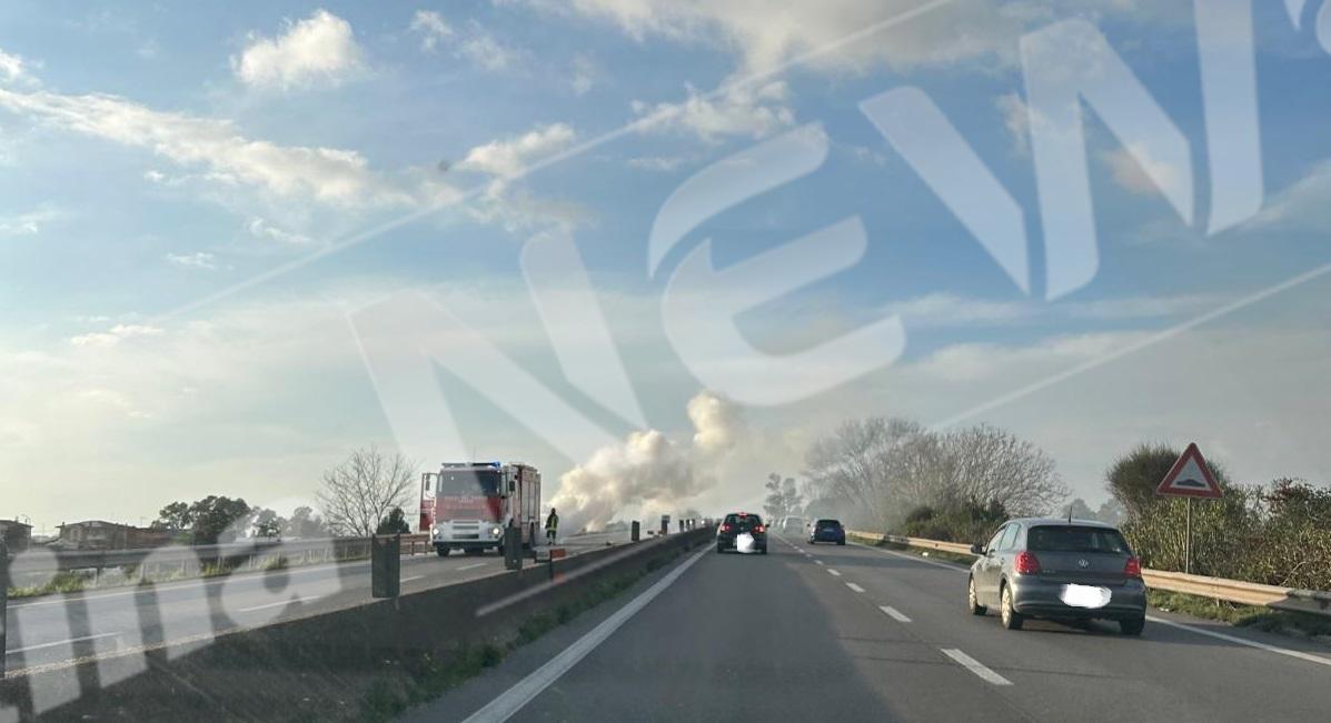 WhatsApp Image 2025-02-01 at 16.12.48