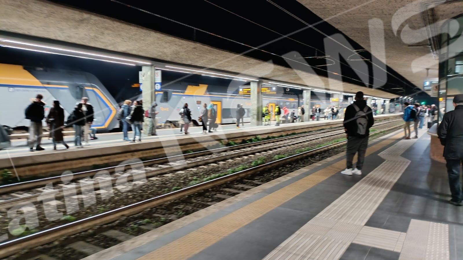 WhatsApp Image 2025-02-23 at 20.37.31 (1)