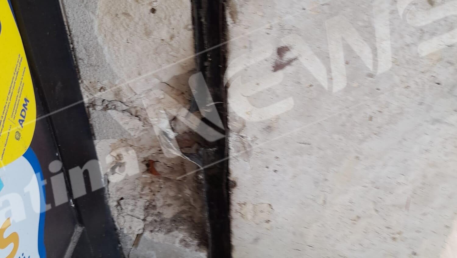 Immagine WhatsApp 2025-04-10 ore 11.32.34_19eaacde