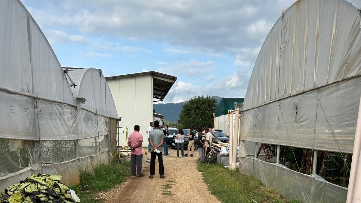 86b769cb-ad03-4c21-be3b-e20234b59423