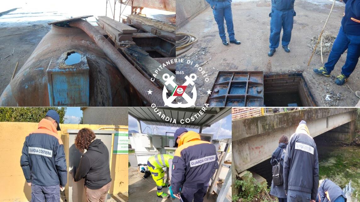 WhatsApp Image 2026-02-10 at 16.48.46