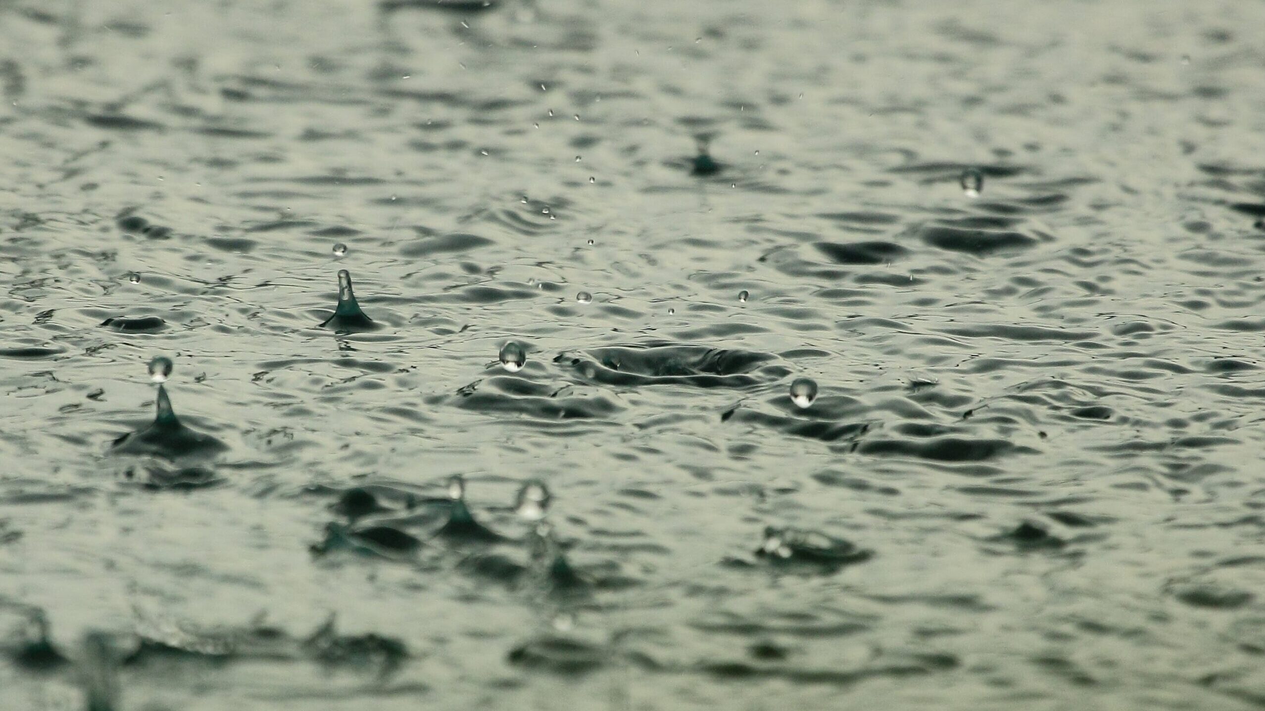 pioggia maltempo allerta meteo acqua