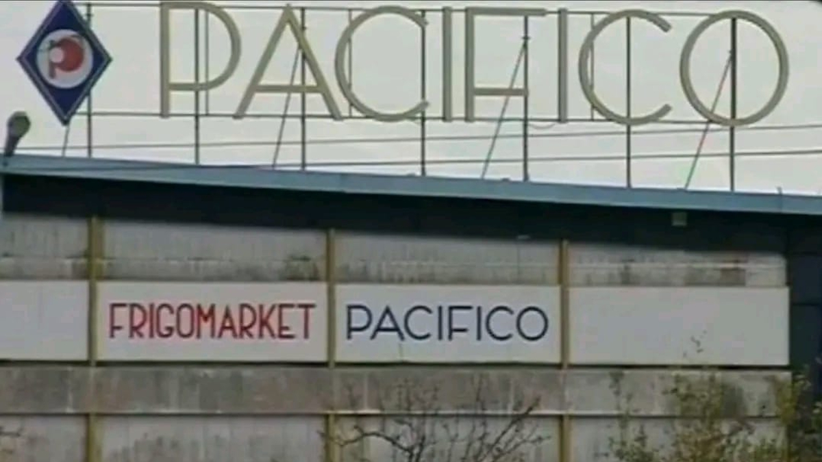 frigomarket pacifico